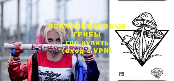 Альфа ПВП Аркадак