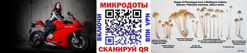 дарк нет состав  Всеволожск  Псилоцибиновые грибы GOLDEN TEACHER 